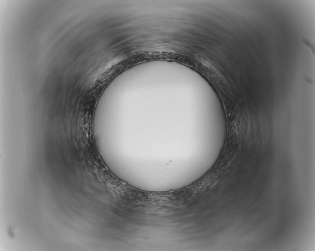 X0000099550870200805301519