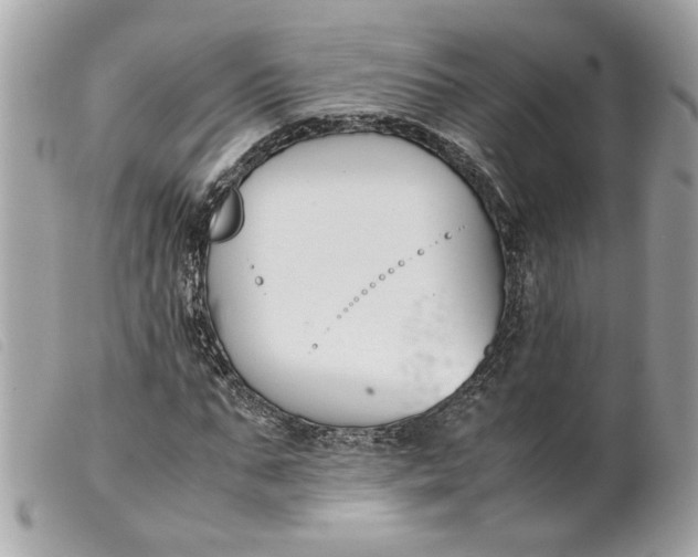 X0000099550871200805301519