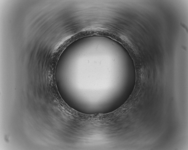 X0000099550872200805301519