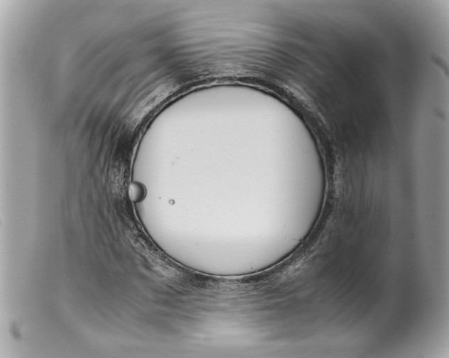 X0000099550873200805301519