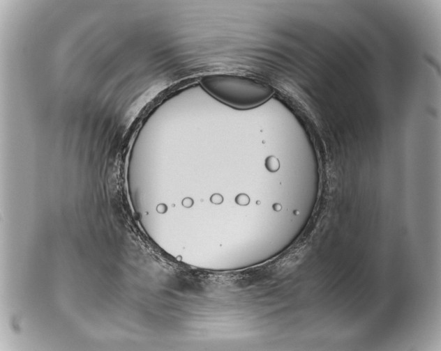 X0000099550875200805301519