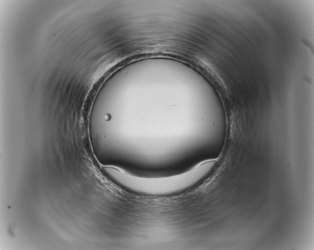 X0000099550876200805301519