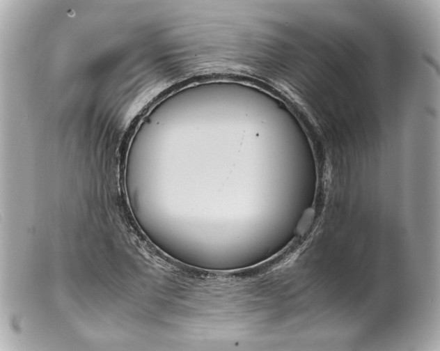 X0000099550877200805301518