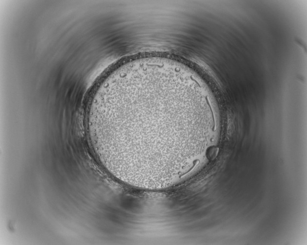 X0000099550878200805301518