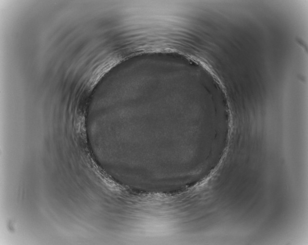 X0000099550881200805301518