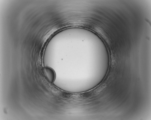 X0000099550883200805301518