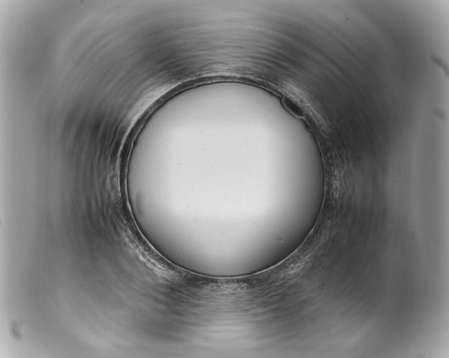 X0000099550884200805301518