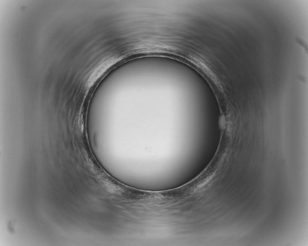 X0000099550885200805301518