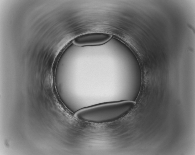 X0000099550888200805301518