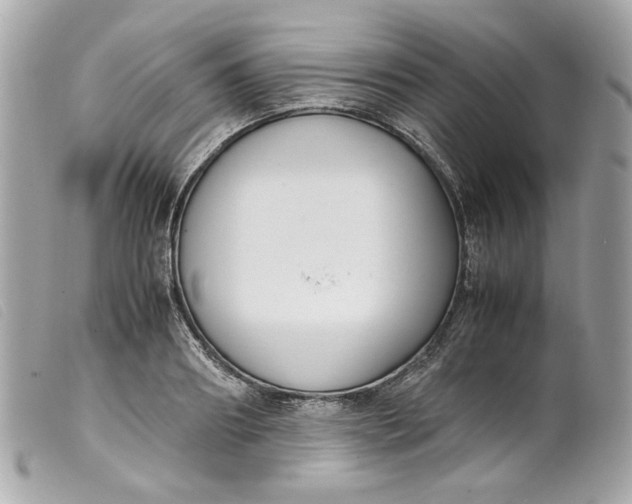 X0000099550890200805301518