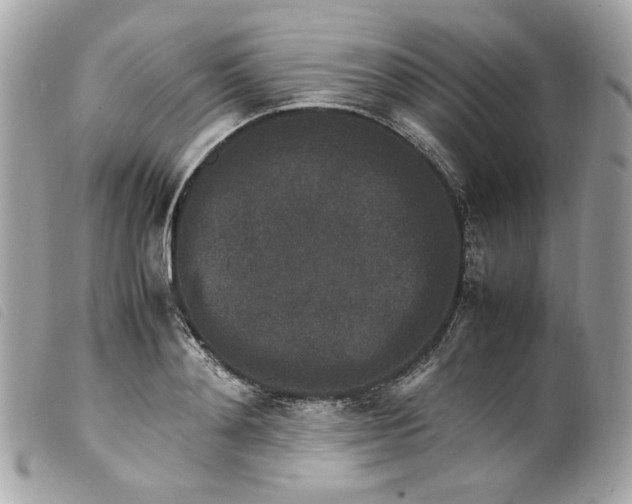 X0000099550892200805301518