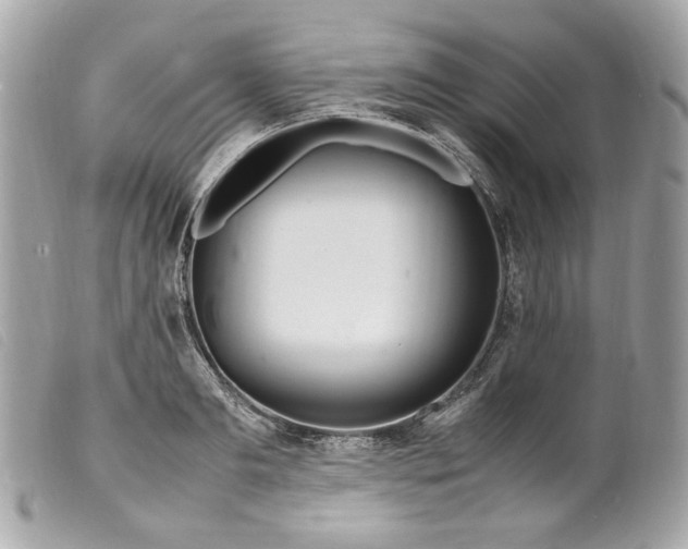 X0000099550893200805301518