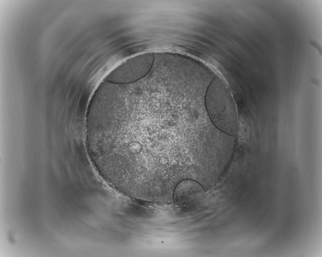 X0000099550895200805301518