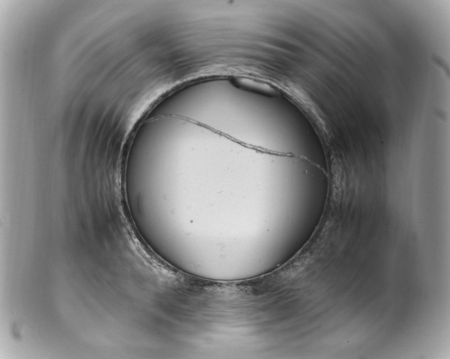 X0000099550896200805301518