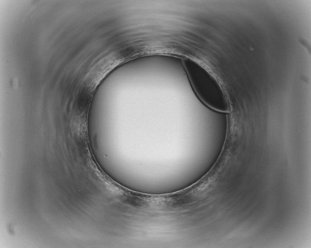 X0000099550897200805301518