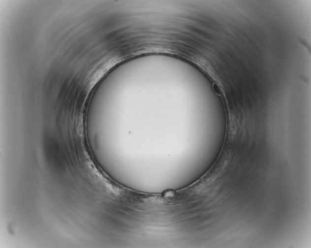 X0000099550898200805301518