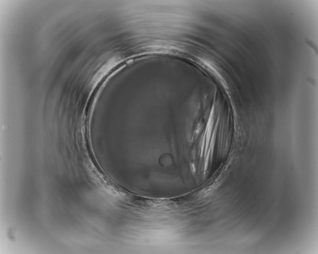 X0000099550899200805301518