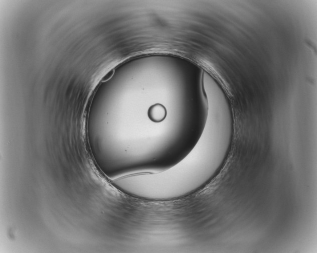 X0000099550900200805301518