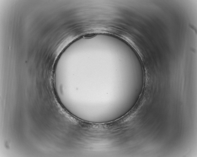 X0000099550901200805301518