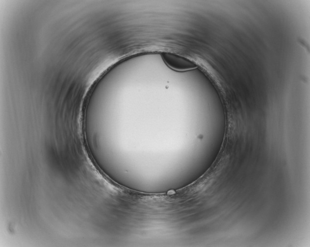 X0000099550902200805301518