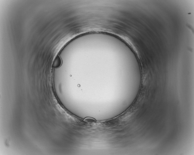 X0000099550903200805301518