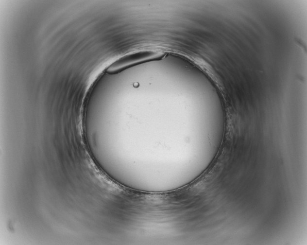 X0000099550904200805301518