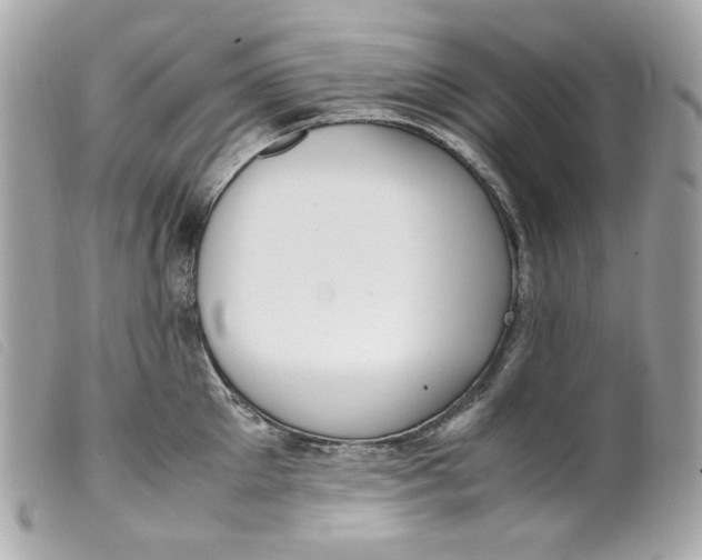 X0000099550905200805301518