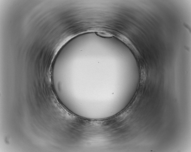 X0000099550908200805301518