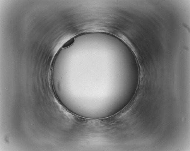 X0000099550909200805301518