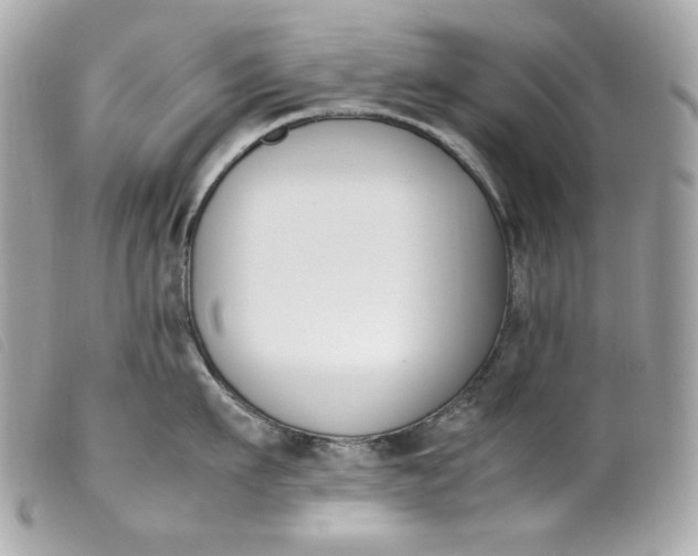 X0000099550911200805301518