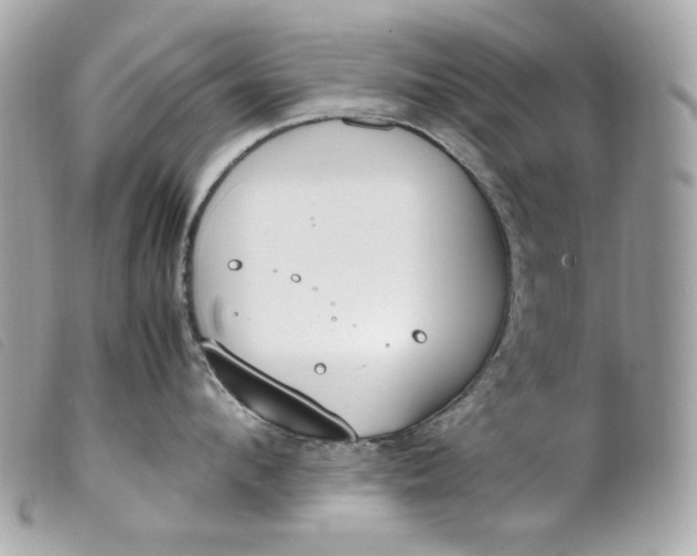 X0000099550912200805301518