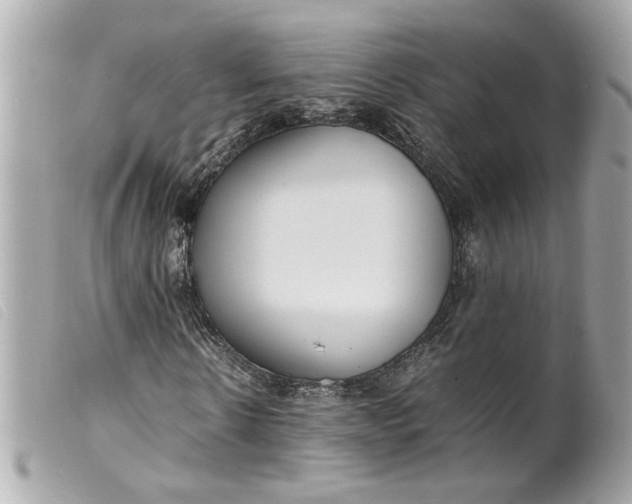 X0000099550914200805301518