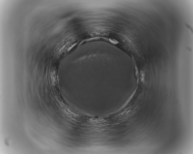 X0000099550915200805301518