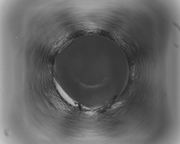 X0000099550916200805301518