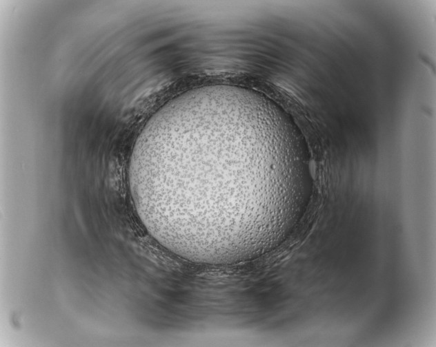 X0000099550917200805301518