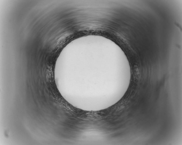 X0000099550918200805301518