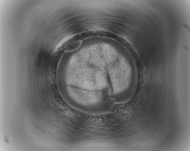 X0000099550919200805301518