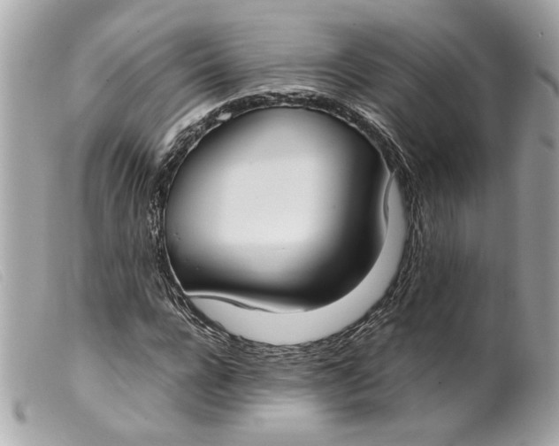 X0000099550920200805301518