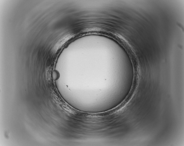 X0000099550921200805301518