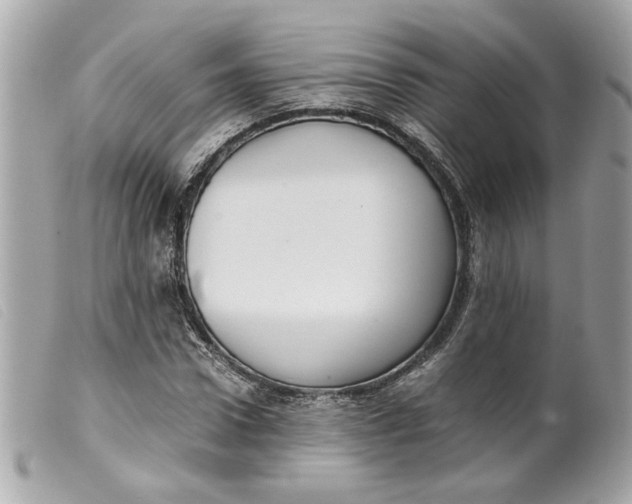 X0000099550922200805301518