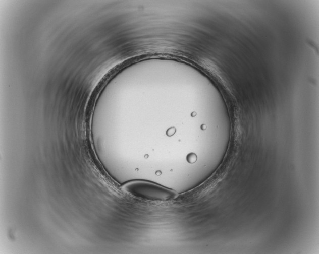 X0000099550924200805301518