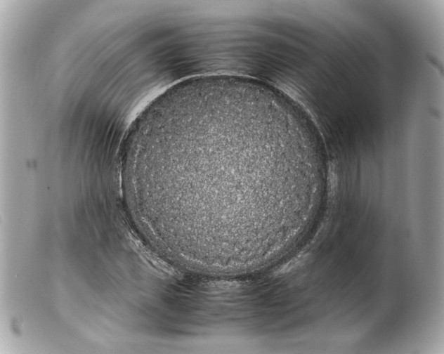 X0000099550925200805301518