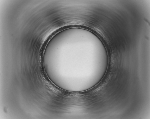 X0000099550926200805301518