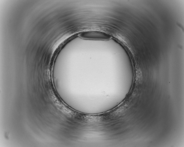 X0000099550928200805301518