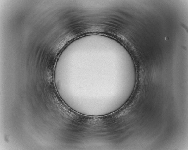 X0000099550929200805301518