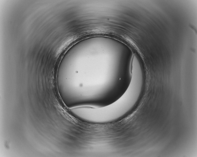 X0000099550930200805301518