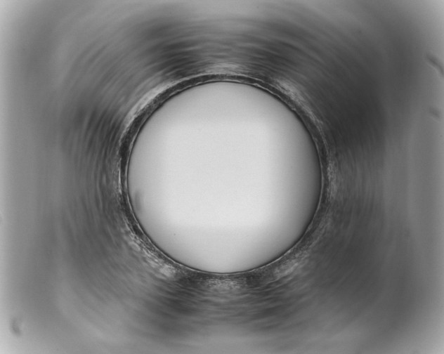 X0000099550931200805301518