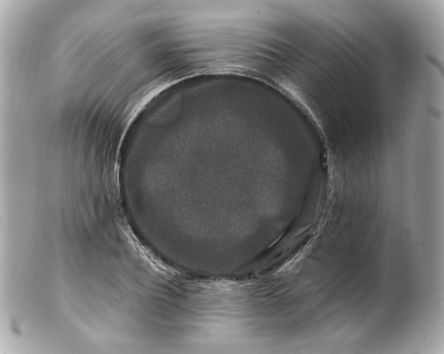 X0000099550932200805301518