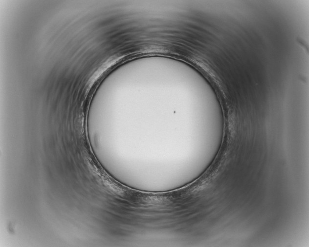 X0000099550933200805301518