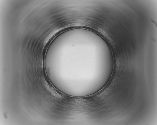 X0000099550934200805301518